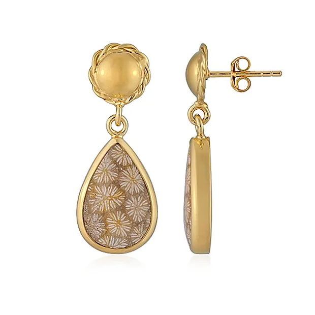 Pendientes, Coral petrificado, gota (20 x 10mm), 3,9cm, bañados en oro | Marco Schreier