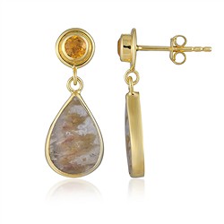 244009250012 Ohrstecker Caramel druzy, Tropfen 24x11mm Tropfen | Marco Schreier