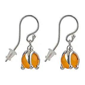 Boucles d'oreilles avec crochets, Ambre (rec.), 2,5cm | Marco Schreier