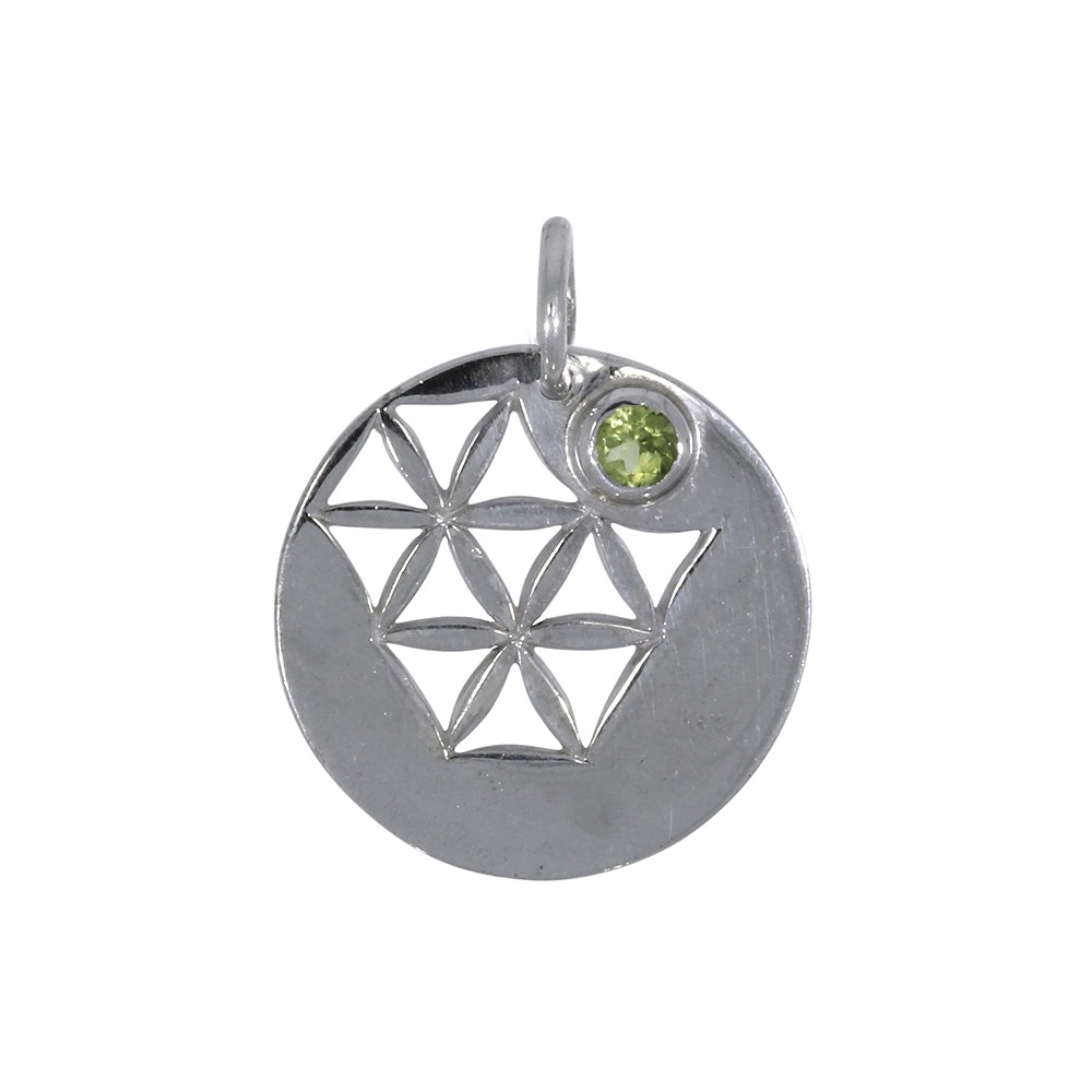 Boucles d'oreilles avec crochets "Aufbruch und Neubeginn" Péridot, 3,0cm, rhodié | Marco Schreier