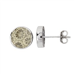 244018210064 Perno auricolare, corallo pietrificato rotondo (12 mm), 1,4 cm, placcato in platino | Marco Schreier