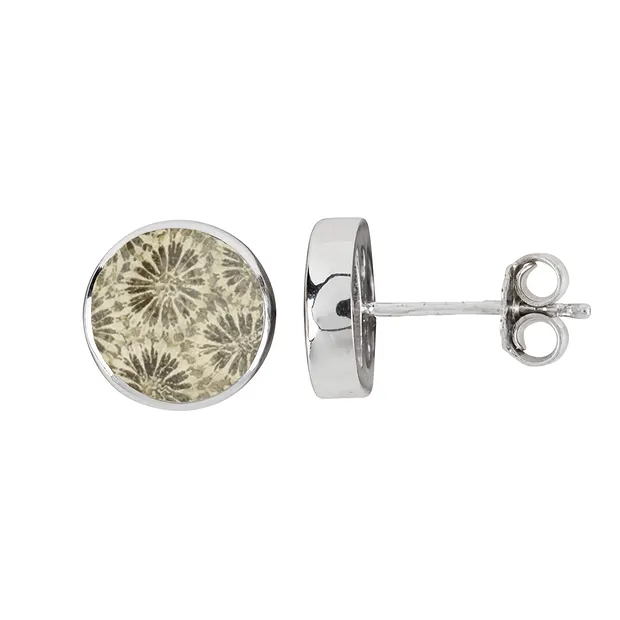 Earstuds Petrified Coral round (12mm), 1.4cm, platinum plated | Marco Schreier