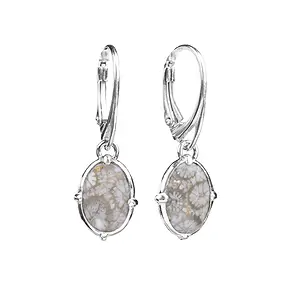Pendientes, Coral petrificado (gris), oval, 3,4 cm, rodinado | Marco Schreier