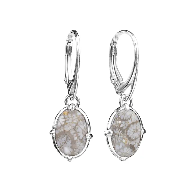 Earrings Petrified Coral (gray), oval, 3.4 cm, rhodiniert | Marco Schreier