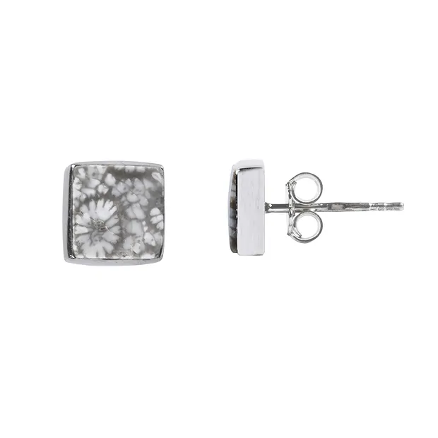 Clous d'oreilles Corail fossilisé (gris), carré, 1,0cm, rhodié | Marco Schreier