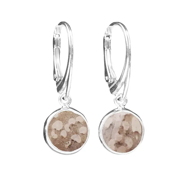 Boucles d'oreilles avec crochets en Palmier pétrifié, rond (10mm), 3,0cm, rhodié | Marco Schreier