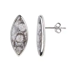 244023220078 Ohrstecker versteinerte Koralle, Navette (20 x 8mm), 2,2cm, platiniert | Marco Schreier