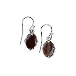 244023220090 Earrings Petrified Wood oval, 3.6 cm, platinum plated | Marco Schreier