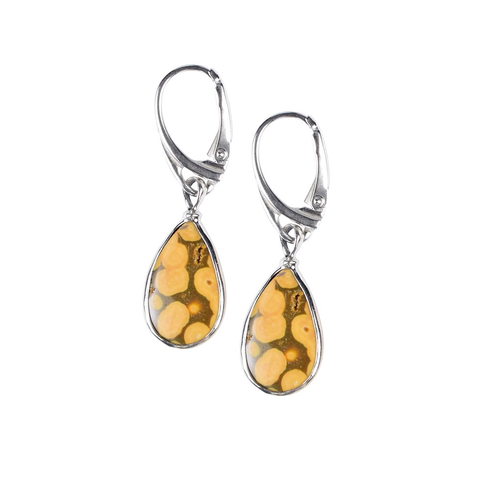 Ocean Jasper drop earrings (18 x 10mm), 4.1cm, platinum plated | Marco Schreier