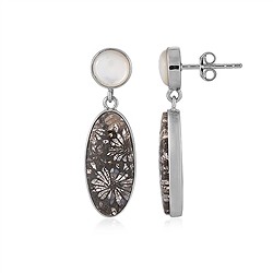 244023240010 Clous d'oreilles Corail fossilisé, ovale (22 x 10mm), nacre, 3,6cm, platiné | Marco Schreier