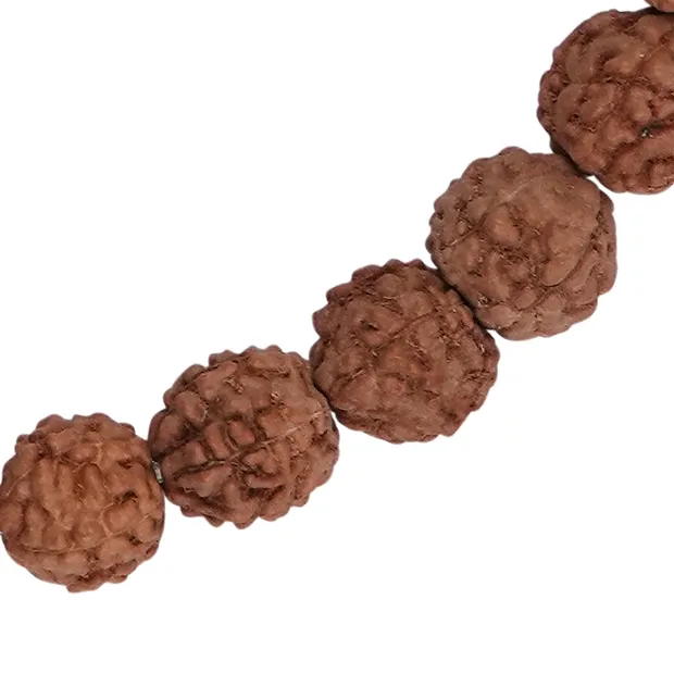 Mala Armband Rudraksha mit Chakraperlen | GH Edelsteine, Heilsteine & Schmuck