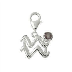 249005100060 Ciondolo "Aquario" con fluorite, 24 mm | grossista gemme e pietre curative