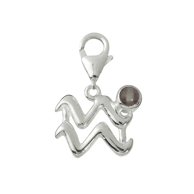 Aquarius" charm with fluorite, 24mm | wholesaler gems, healing stones & jewelry