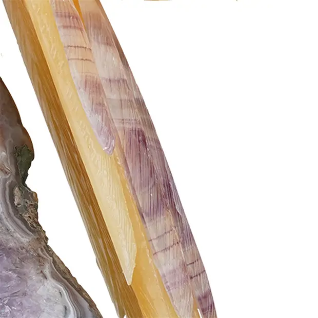 Perroquet gravé Calcite orange Pièces uniques 039, 51cm | Marco Schreier