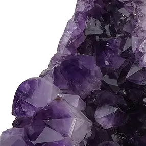 Incisione pappagallo arancione calcite unica 039, 51cm | Marco Schreier
