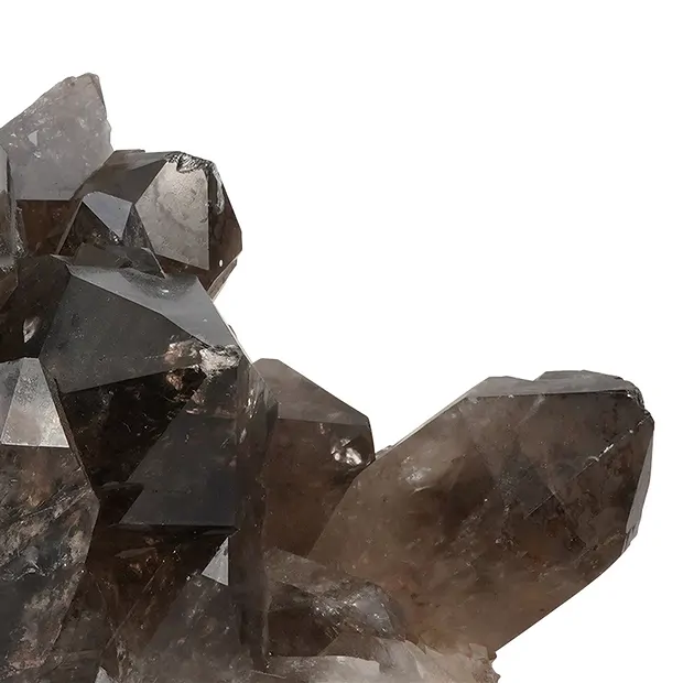 Grabado Cristal de roca loro único 046, 30cm | Marco Schreier