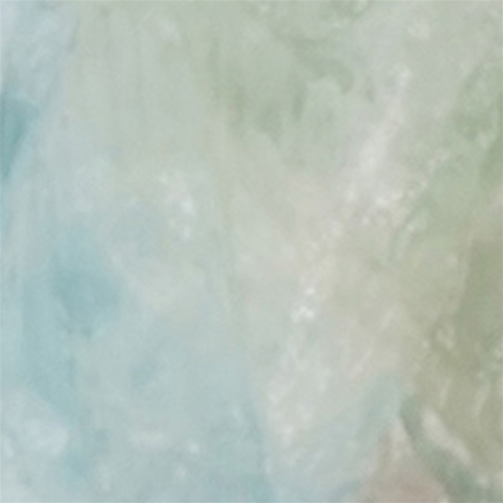 Grabado loro Aguamarina único 049, 21cm | Marco Schreier