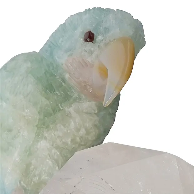 Incisione pappagallo Acquamarina unico 049, 21cm | Marco Schreier