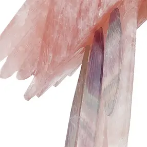 Incisione pappagallo Quarzo rosa unico 053, 48cm | Marco Schreier
