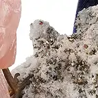 https://cdn.marcoschreier.com/content/productimages/2802000061_d3.jpg