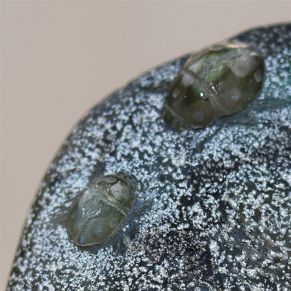 Scarabeo da incisione, labradorite, 6,5 cm, unico 005 | Marco Schreier