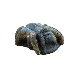 2802103008 Ragno da incisione, labradorite, 6 x 6 cm, unico 008 | Marco Schreier