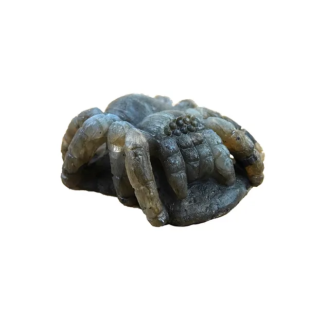 Ragno da incisione, labradorite, 6 x 6 cm, unico 008 | Marco Schreier