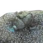 https://cdn.marcoschreier.com/content/productimages/2802103023_d1.jpg