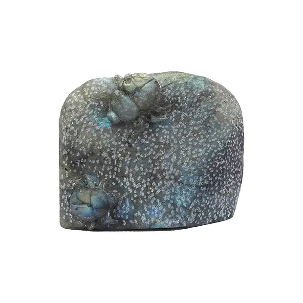 Gravur Käfer, Labradorit, 6 x 8cm, Unikat 023 | Edelsteine, Heilsteine & Schmuck