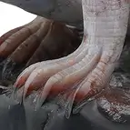 https://cdn.marcoschreier.com/content/productimages/2802271002_d2.jpg