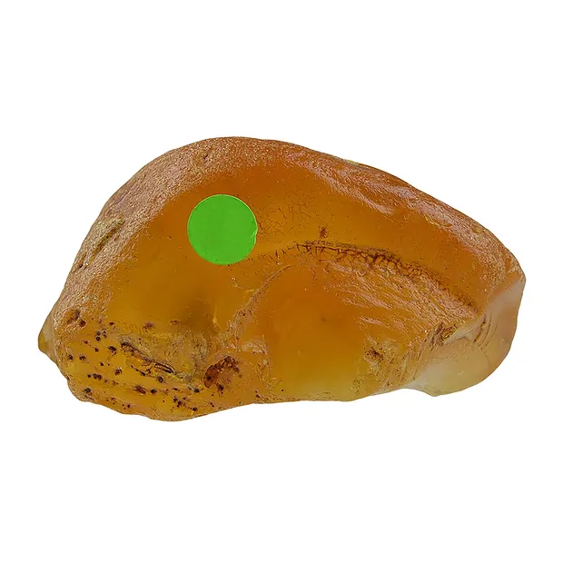 Pièces polies d'Ambre (naturel), 08,5cm Pièces uniques 001 | Marco Schreier