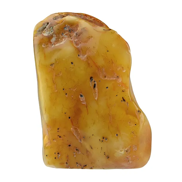 One side polished piece Amber (natural), 05,5cm unique 003 | Marco Schreier