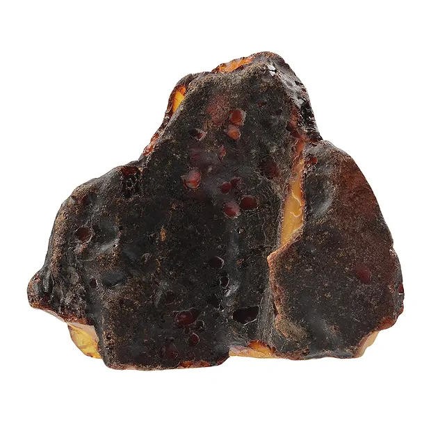 One side polished piece Amber (natural), 11,2cm unique 015 | Marco Schreier