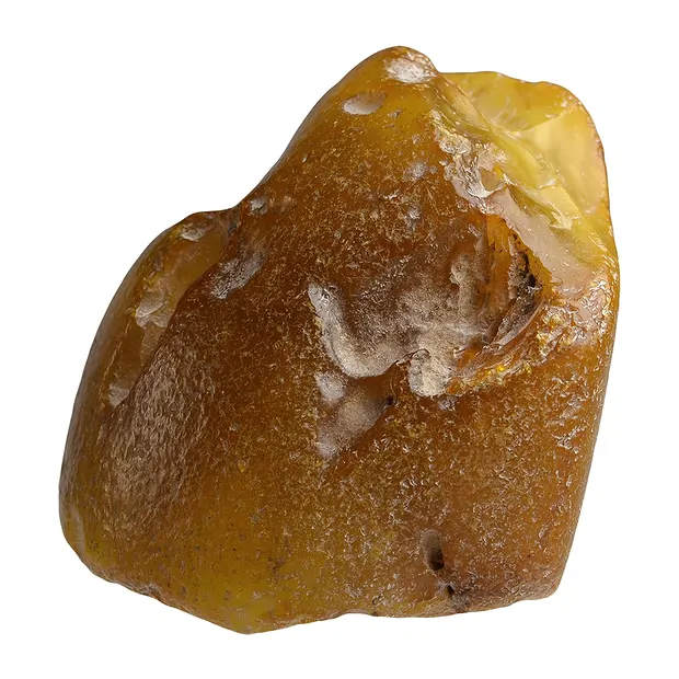 Pièces polies d'Ambre (naturel), 06,7cm Pièces uniques 019 | Marco Schreier