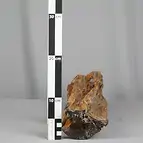 https://cdn.marcoschreier.com/content/productimages/2804187005_zoom.jpg
