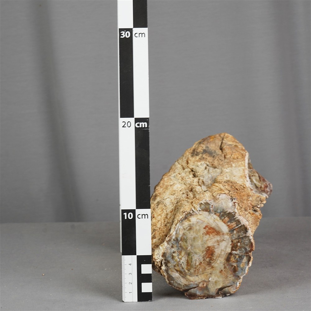 Pièces polies d'un côté, 10 x 12cm, Pièces uniques 016 | Marco Schreier