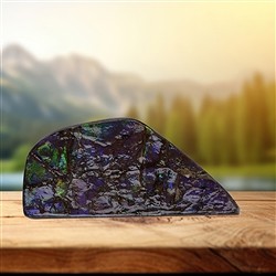 2804583081 Ammolith-Anschliff Unikat 081 | Großhändler Edelsteine, Heilsteine & Schmuck