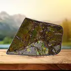 https://cdn.marcoschreier.com/content/productimages/2804583085_zoom.jpg