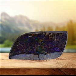 2804583109 Ammolith-Anschliff Unikat 109 | Großhändler Edelsteine, Heilsteine & Schmuck