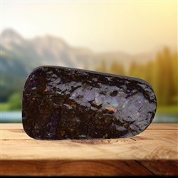 2804583110 Ammolith-Anschliff Unikat 110 | Großhändler Edelsteine, Heilsteine & Schmuck