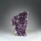 https://cdn.marcoschreier.com/content/productimages/2806012314_zoom.jpg