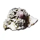 https://cdn.marcoschreier.com/content/productimages/2806020001_zoom.jpg