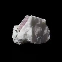 2806020006 Touffe d'apatite, 5,2 x 7,3cm, Pièces uniques 006 | Marco Schreier