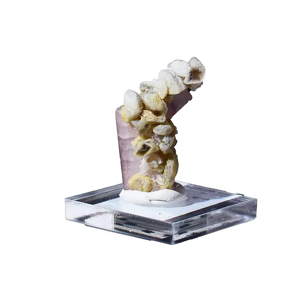 Touffe d'apatite, 2,9 x 1,3cm, Pièces uniques 008 | Marco Schreier