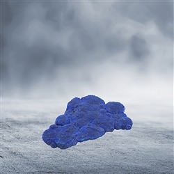 2806032010 Azurite (Australia), 7.0 x 4.0cm, unique 010 | wholesaler gems &amp; healing stones