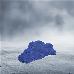 2806032010 Azurite (Australia), 7.0 x 4.0cm, unique 010 | wholesaler gems & healing stones