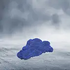 https://cdn.marcoschreier.com/content/productimages/2806032010_zoom.jpg
