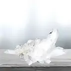 https://cdn.marcoschreier.com/content/productimages/2806035236_zoom.jpg