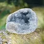 https://cdn.marcoschreier.com/content/productimages/2806054049_zoom.jpg