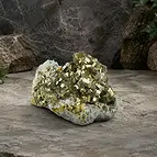 https://cdn.marcoschreier.com/content/productimages/2806124070_zoom.jpg